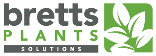 green plant hire noosa - greenwalls sunshine coast - indoor plant hire brisbane and gold coast